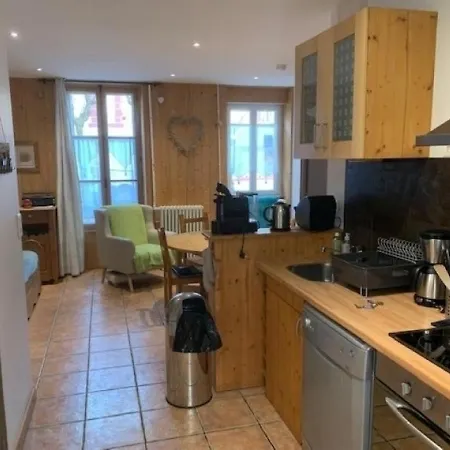 Mont-dore, 2 Pieces, 4 Personnes - Fr-1-415-91 Apartmán Le Mont-Dore